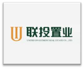 聯投置業